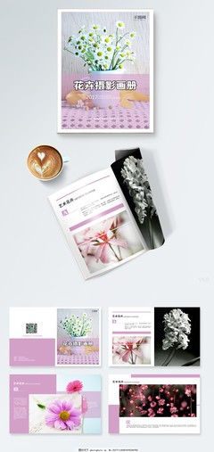 生命的簡約美學(xué) 花卉攝影與苗木種植的藝術(shù)畫冊(cè)